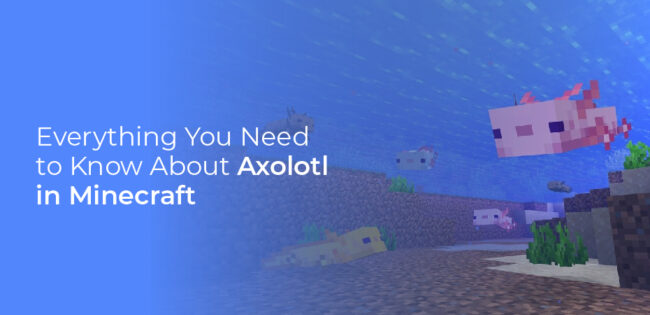 axolotl minecraft