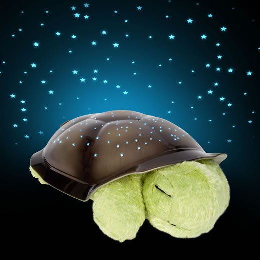 Aquatic Turtle Night Light