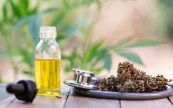 Is CBD Legal in Switzerland?