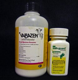 Fenben Powder