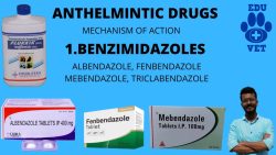 Fenbendazole Powder – A Veterinary Grade Worming Agent