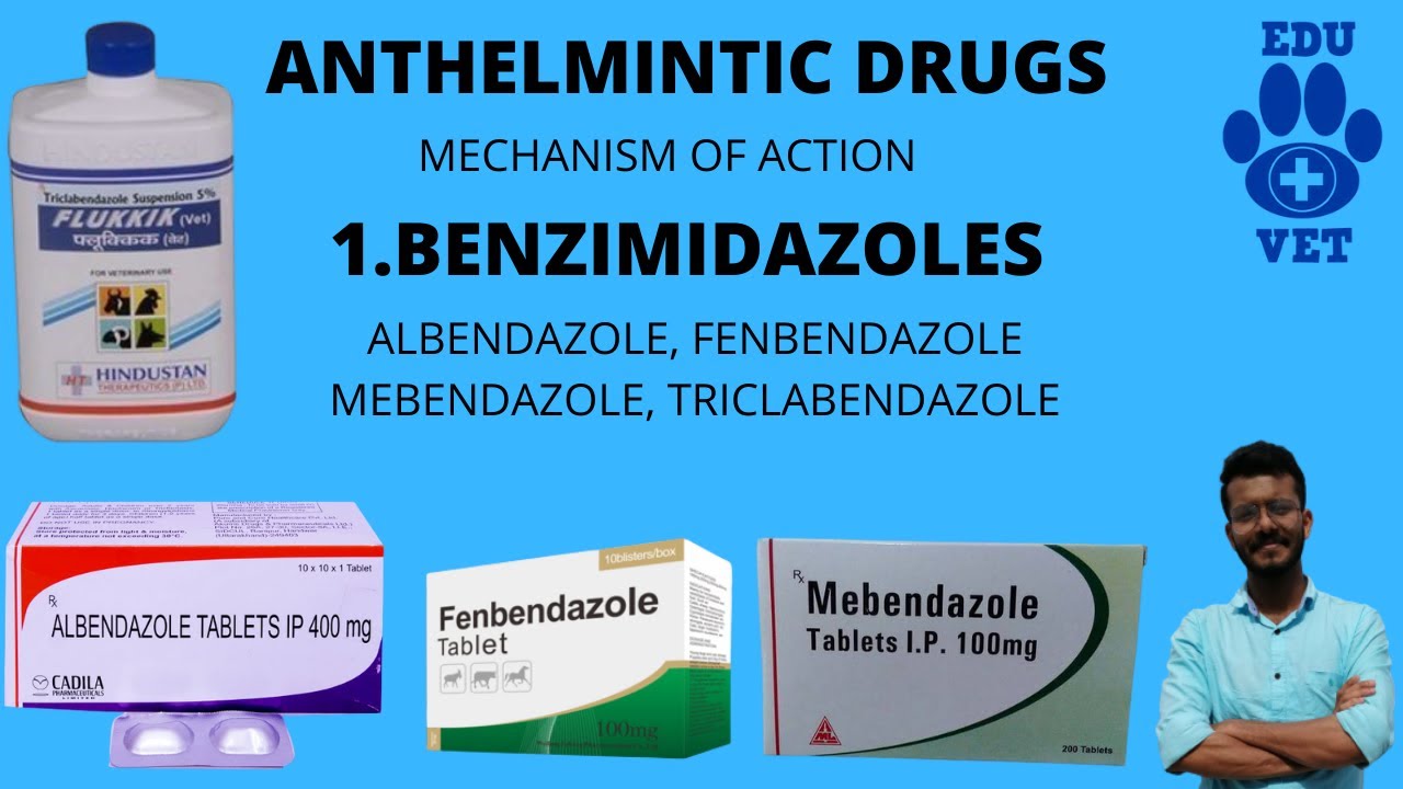 Fenbendazole Powder – A Veterinary Grade Worming Agent