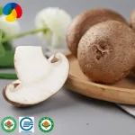 Mushroom Grow Kits