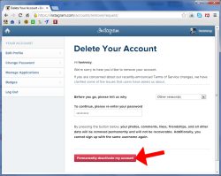 A Step-by-Step Guide to Deleting Your Instagram Account