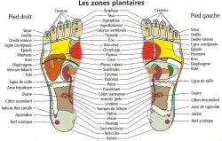 Réflexologie Grasse: Une Méthode Ancienne pour le Bien-être Moderne