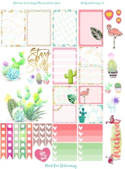 The Ultimate Guide to Choosing the Best Planner Stickers